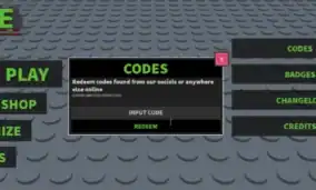 Brace Codes