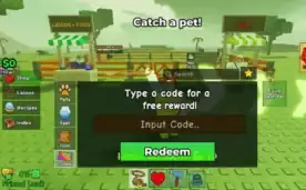 Catch And Tame Codes